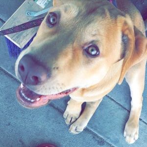 Meet your Posher, Taylor